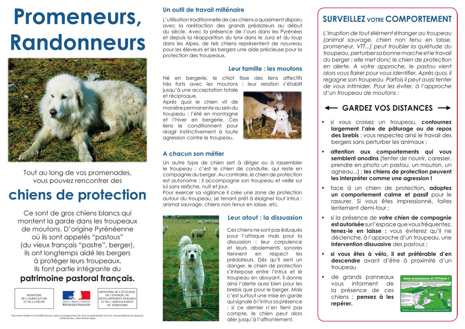 promeneurs-chiens-2008-web-1-2-.jpeg